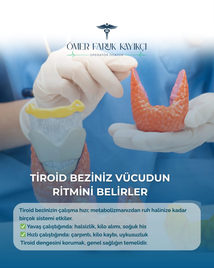 Tiroid bezinin işlevini anlatan Instagram gönderisi